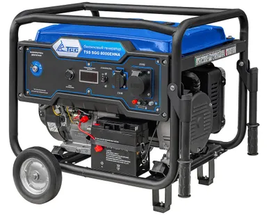 фото Бензогенератор TSS SGG 8000EHNA