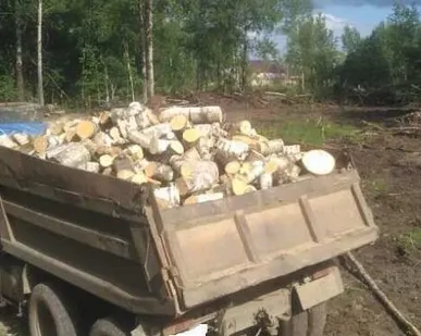 фото Дрова