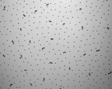 фото Потолок AMP Econom 24шт. 8,64м2 уп