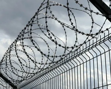 фото Колючая проволока для забора Свердловская область