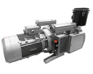 фото Пластинчато-роторный вакуумный насос DELTAMACHINERY DM-KVF250