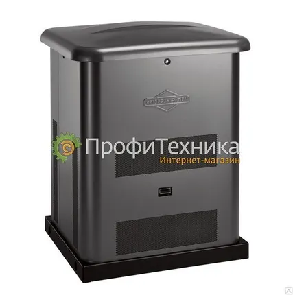 Фото №0 Генератор газовый Briggs&amp;Stratton 6000