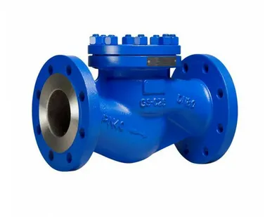 фото Клапан обратный RD50F