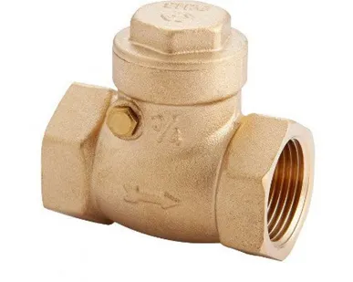 фото Клапан обратный SGL пружинный, с латунным золотником, 50 мм