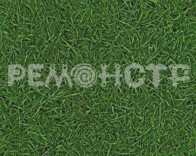 фото Линолеум IVC NEO GRASS 25