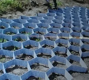 фото Георешетка полимерная облегченная ОР 15 СНО 2,5*10,5 м /26,25 м2