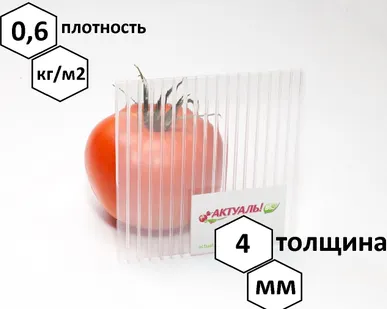 фото Сотовый поликарбонат АКТУАЛЬ!Био, 6000х2100х4 мм, прозрачный