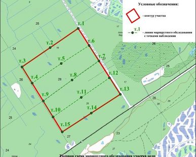 фото Ландшафтное проектрование обследование участка