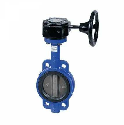 Фото №0 Затвор дисковый поворотный Ду 150 Ру16 с редуктором диск чугун EURO