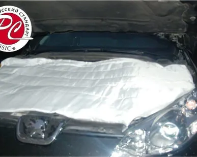 фото Автоодеяло