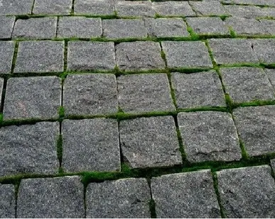 фото Брусчатка