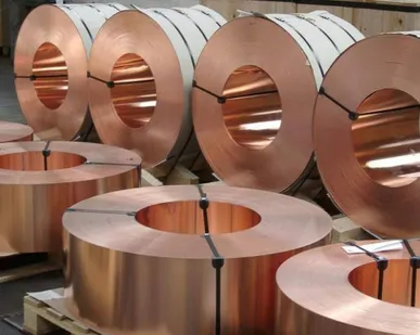 фото Лента бронзовая 0,30х300 мм БРКМЦ3-1