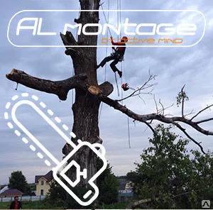 Фото №0 Спил аварийных деревьев