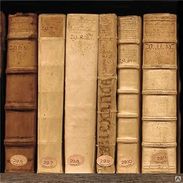 Фото №0 Керамическая плитка Peronda "Books/P" 44х44 гранит 0.97 м.кв.