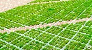 фото Экопарковка