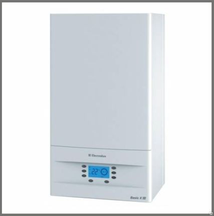 Фото №0 Газовые котлы Electrolux