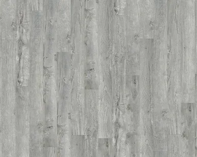 фото Ламинат Tarkett Gallery с фаской Пикассо