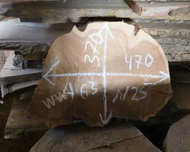 фото Спил корня № 25 карагач 63х370х470