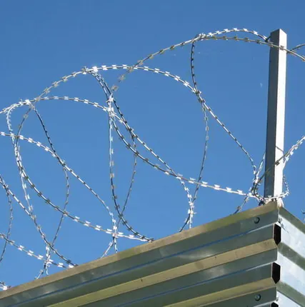 Фото №0 Егоза СББ - d600 10м (4 вит.)