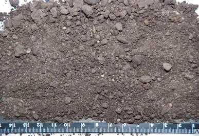 фото Чернозем