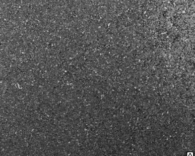 фото Руллоное резиновое покрытие «Резипол» АНТ Флекс 24 мм