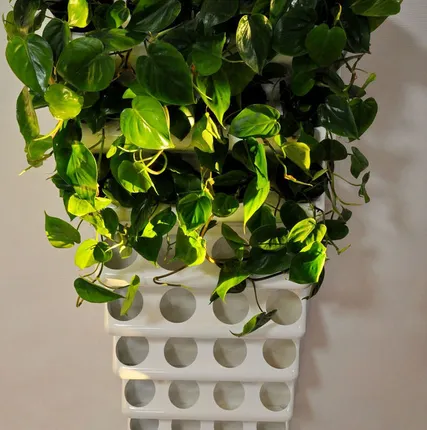 Фото №0 Фитостена. Модуль 60х60 см. Модульная система BOXSAND.