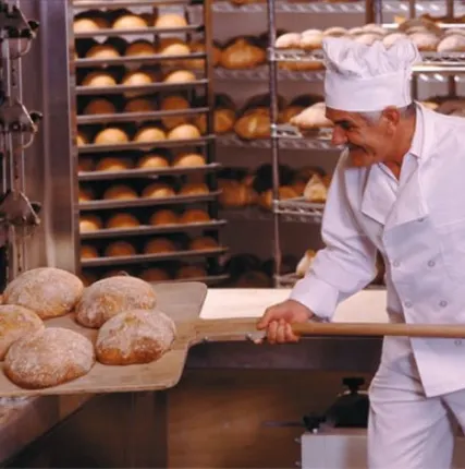 Фото №0 Печь для выпечки хлеба на дровах. Строительство и обслуживание.