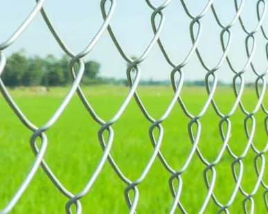 фото Забор из сетки рабицы