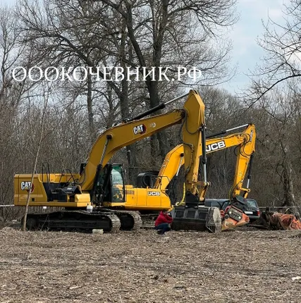 Фото №1 Расчистка территорий от деревьев, кустарников и корней