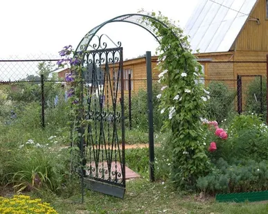 фото Пергола