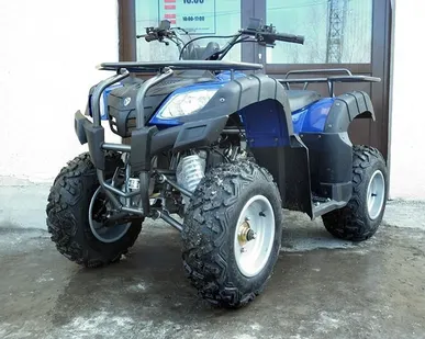 фото Квадроцикл BEORN 200