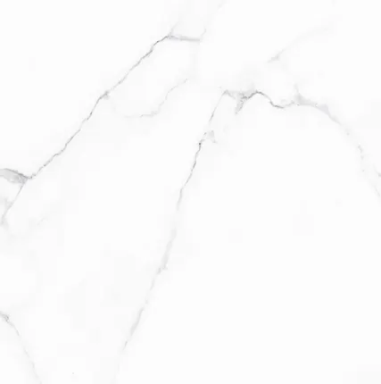 Фото №0 Плитка напольная (600х600х9) Carrara GFU04CRR00R (ALMA CERAMICA)