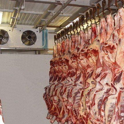 Фото №0 Холодная камера для мяса