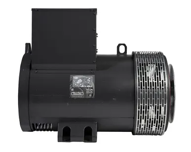 фото Mecc Alte ECP34-2L/4 SAE 3/11,5 (120 кВт)