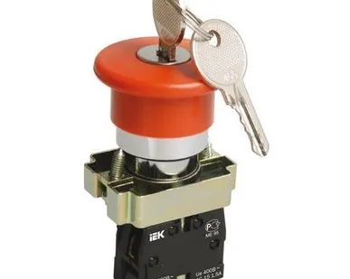 фото Кнопка LAY5-BS142 Гриб с ключом d22мм IEK
