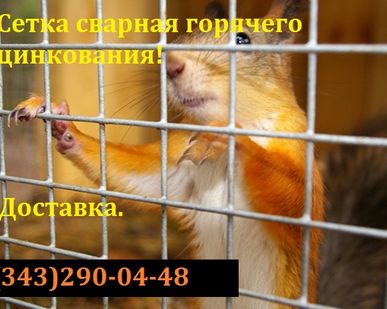 фото Сетка для изготовления клеток в рулонах цена