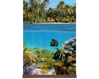 фото Инфракрасный плёночный