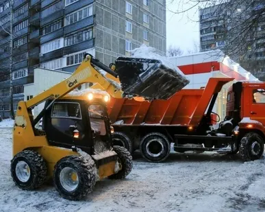 фото Вывоз/уборка снега (мини-погрузчиком)