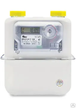 Фото №0 Счетчик газа ВЕКТОР Т G 4