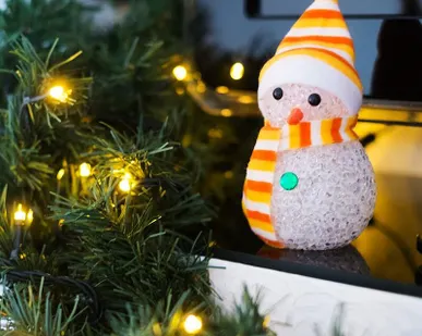 фото Фигура светодиод. EVA "Снеговик" (батарейки 3хAG13 в компл.) 1LED 10см RGB 1Вт 4.5В IP20 NEON-NIGHT 513-019