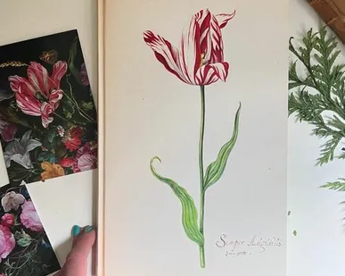 фото Книга о тюльпанах Tulipbook Нидерланды с переводом