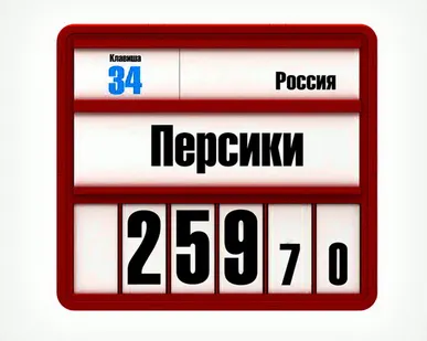 фото Кассета цен VISTA A5, формат А5+, цвет красный с блокнотом цифр