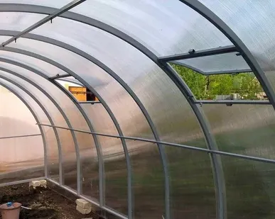 фото ДАЧНИЦА УСИЛЕННАЯ ЦЕЛЬНЫЕ ДУГИ