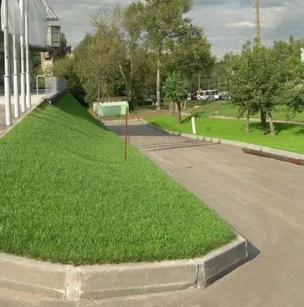 Фото №0 Устройство газона на склонах