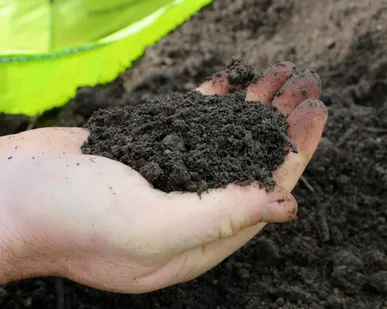 фото компост