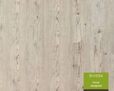 фото ЛАМИНАТ BERRY ALLOC riviera Сосна Канадская (MatLook®)