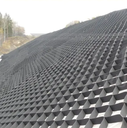 Фото №3 Георешетка обьемная