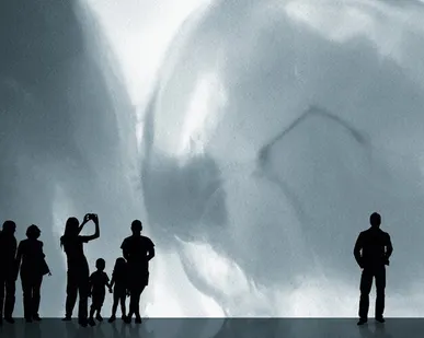 фото Полная визуализация диагностики KaVo DIAGNOcam бесплатно