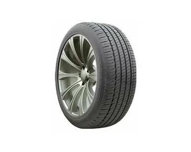 фото Автомобильная шина MICHELIN