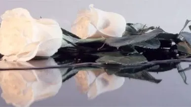 фото Глянцевые стеновые панели МДФ 2800*610*6 "Город 1"